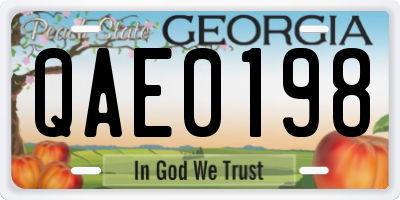 GA license plate QAE0198