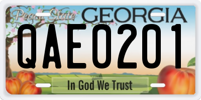 GA license plate QAE0201