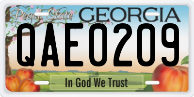 GA license plate QAE0209