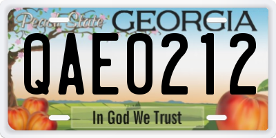 GA license plate QAE0212