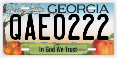 GA license plate QAE0222