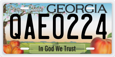 GA license plate QAE0224