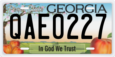 GA license plate QAE0227