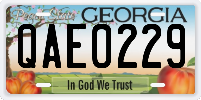 GA license plate QAE0229
