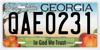 GA license plate QAE0231