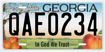 GA license plate QAE0234