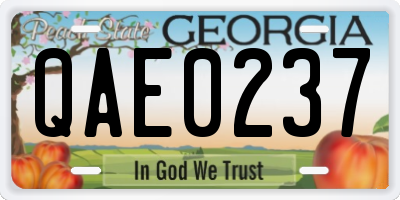 GA license plate QAE0237