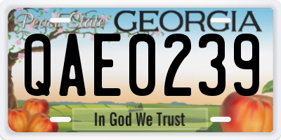 GA license plate QAE0239