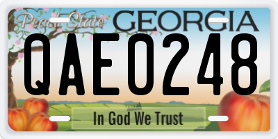 GA license plate QAE0248