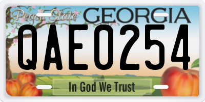 GA license plate QAE0254