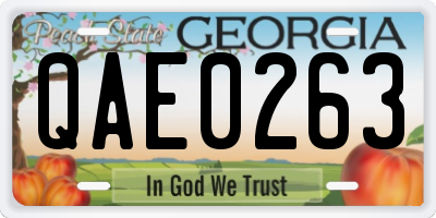 GA license plate QAE0263
