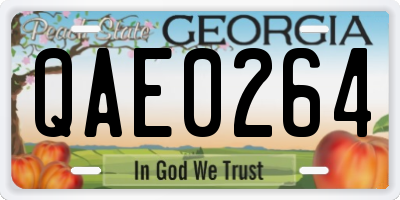 GA license plate QAE0264