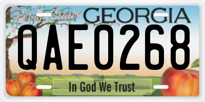 GA license plate QAE0268