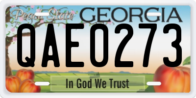 GA license plate QAE0273