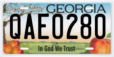 GA license plate QAE0280