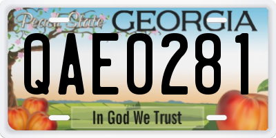 GA license plate QAE0281