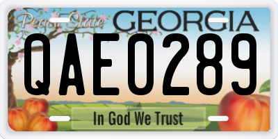 GA license plate QAE0289