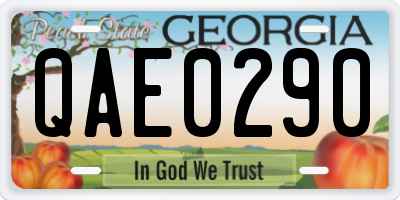 GA license plate QAE0290