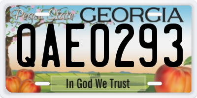 GA license plate QAE0293