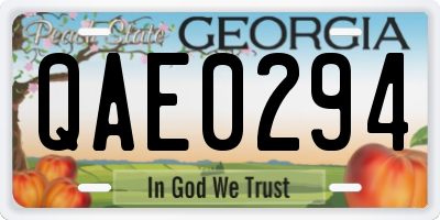 GA license plate QAE0294
