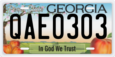 GA license plate QAE0303