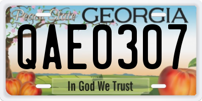 GA license plate QAE0307
