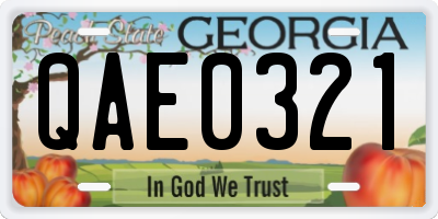 GA license plate QAE0321