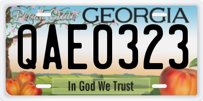 GA license plate QAE0323