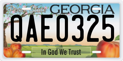 GA license plate QAE0325