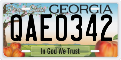 GA license plate QAE0342