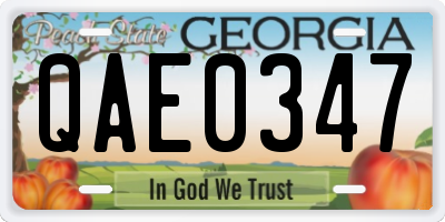 GA license plate QAE0347