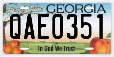 GA license plate QAE0351