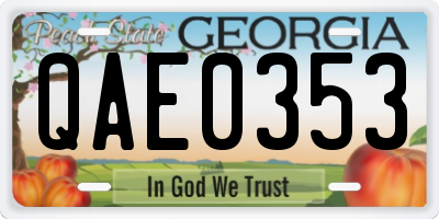 GA license plate QAE0353