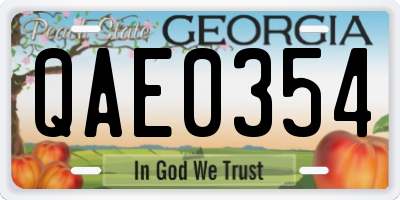 GA license plate QAE0354