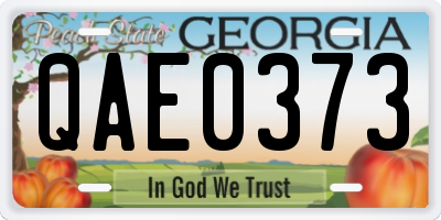 GA license plate QAE0373