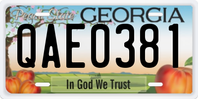 GA license plate QAE0381
