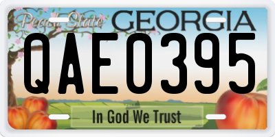 GA license plate QAE0395