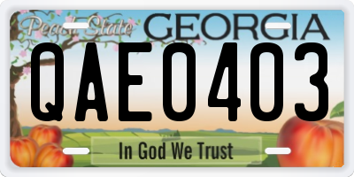 GA license plate QAE0403