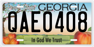 GA license plate QAE0408