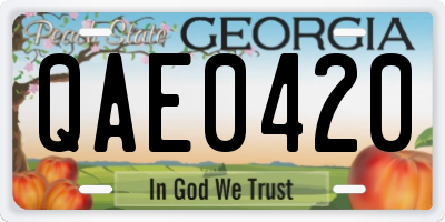 GA license plate QAE0420