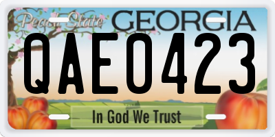 GA license plate QAE0423