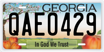 GA license plate QAE0429