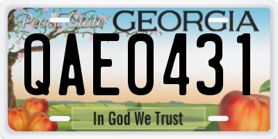 GA license plate QAE0431
