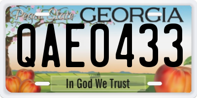 GA license plate QAE0433