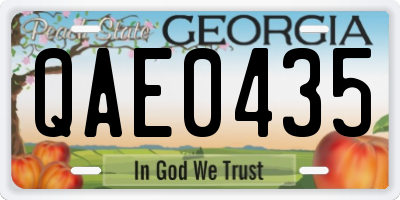 GA license plate QAE0435