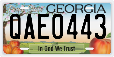 GA license plate QAE0443