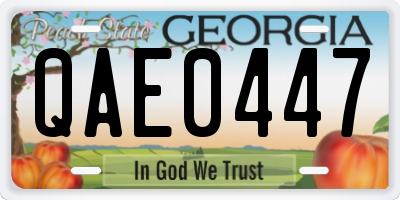 GA license plate QAE0447