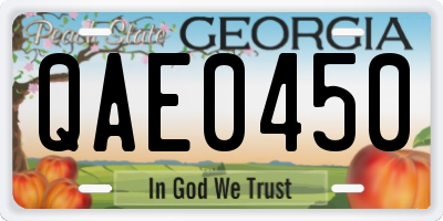 GA license plate QAE0450