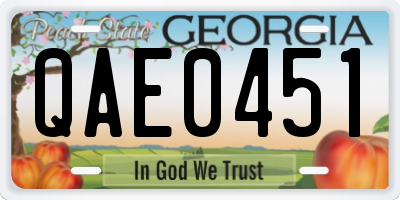 GA license plate QAE0451