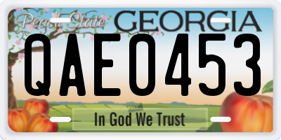 GA license plate QAE0453